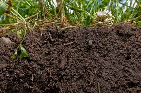 Soil and Sludge Testing